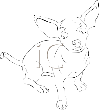 Pet Clipart