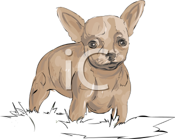 Dog Clipart