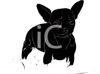 Pet Clipart