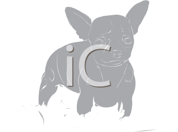 Pet Clipart