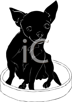Pet Clipart