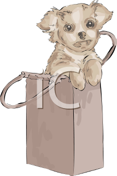 Pet Clipart