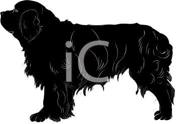 Pet Clipart