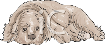 Pet Clipart