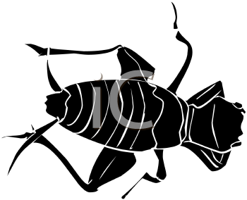 Insect Clipart