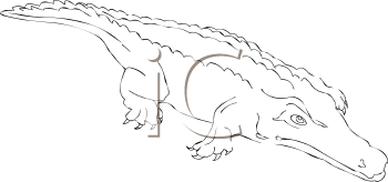 Reptile Clipart