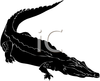 Reptile Clipart