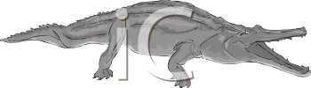 Reptile Clipart