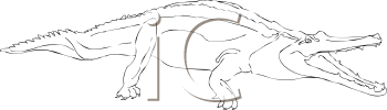 Reptile Clipart