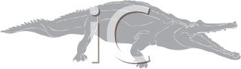 Reptile Clipart