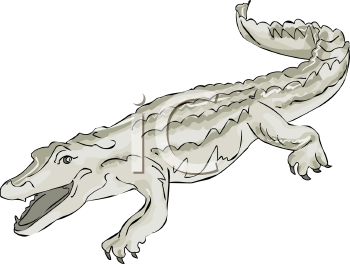 Reptile Clipart