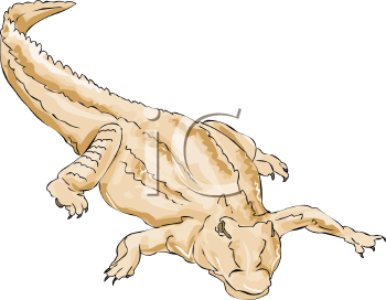 Reptile Clipart