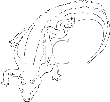 Reptile Clipart