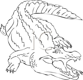 Reptile Clipart