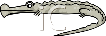 Reptile Clipart