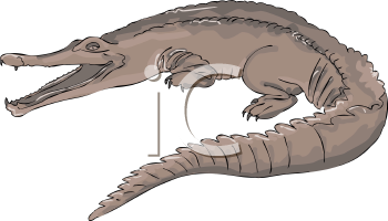 Reptile Clipart