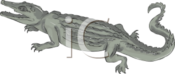 Reptile Clipart
