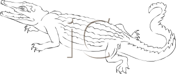 Reptile Clipart