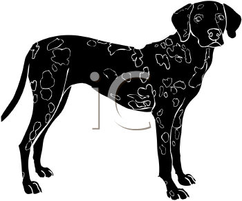 Pet Clipart