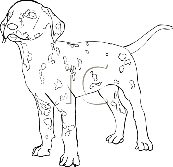 Dog Clipart
