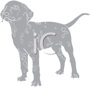 Pet Clipart
