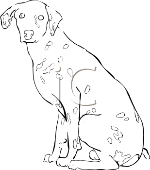 Pet Clipart