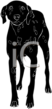 Pet Clipart