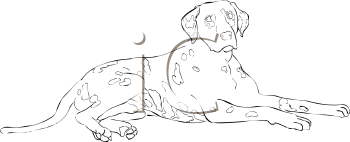 Dog Clipart