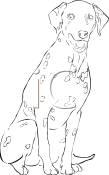 Pet Clipart