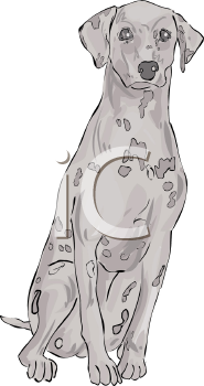 Dog Clipart