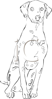 Dog Clipart