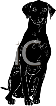 Pet Clipart