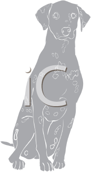 Pet Clipart