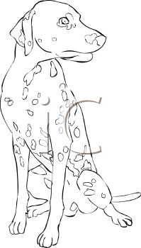 Pet Clipart
