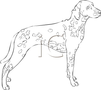 Dog Clipart