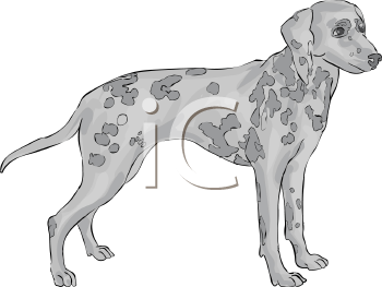 Pet Clipart