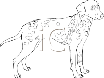 Dog Clipart