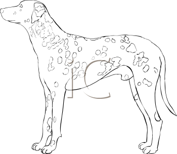 Pet Clipart