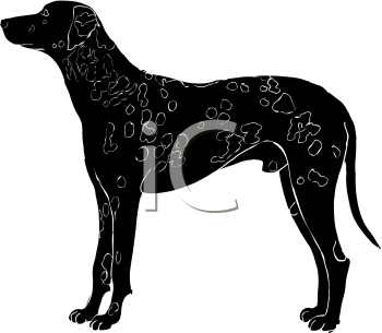 Pet Clipart