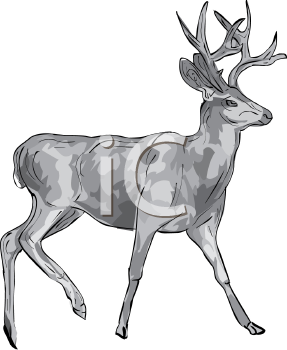 Deer Clipart