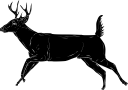 Deer Clipart