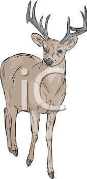 Deer Clipart