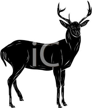 Deer Clipart