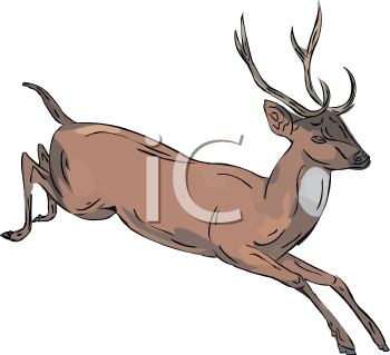 Deer Clipart
