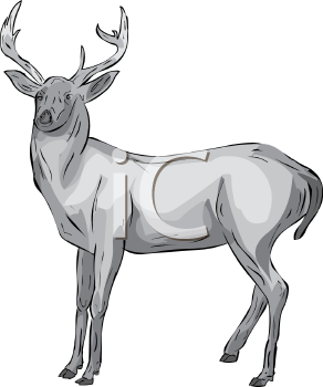 Deer Clipart