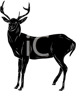 Deer Clipart