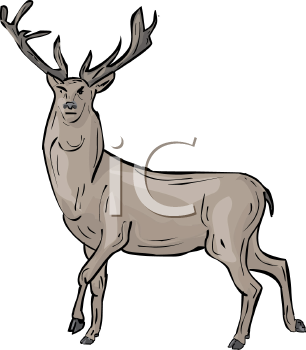 Deer Clipart