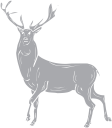 Deer Clipart