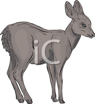 Deer Clipart