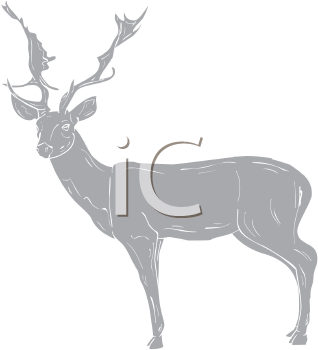 Deer Clipart